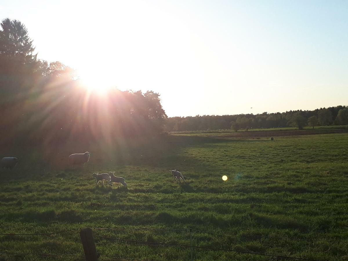 Schoene Komplette Ferienwohnung In Wesel ヴェーゼル エクステリア 写真